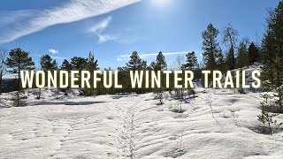 Norway - Virtual Run | Winter Trail Running