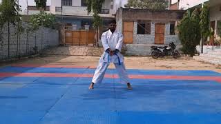 Roshan Yadav Kusanku Round 2 Coming Soon #karateroshan #youtubeshorts 2