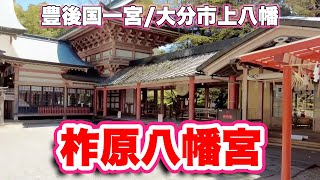 柞原八幡宮/大分市上八幡【豊後国一宮】回廊から参拝する珍しい形式の社殿【旅行VLOG/4K】道の駅佐賀関,由布岳,桜,ほるとの木,南大門,天然記念物,日暮しの門,楼門,重要文化財,回廊,絵馬,宝物館