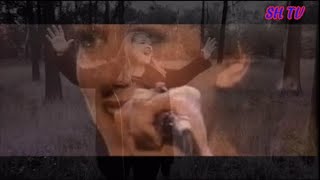 Céline Dion ft.Jennifer Owens - The Power Of Love (Virtual Duets) (v1) | Steven Haines