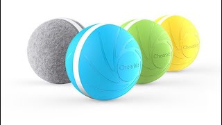 Wickedball Features | The Interactive Pet Toy From Wickedbone