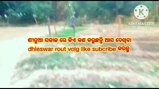 ଏହି ଶୀତୁଆ ସକାଳ ରେ କିଏ କଣ କଣ କରୁଛନ୍ତି ଆଶ ଦେଖିବା 🌹🌹🙏🙏like subcribe କରନ୍ତୁ