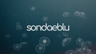 Sondaeblu - Chill, Afrobeats, DJ Latitude, Wizkid, CKay, Chris Brown,  Mix 2021 | eleven.