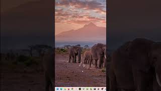 Windows Tips How To Set Time Automatically In Windows 11
