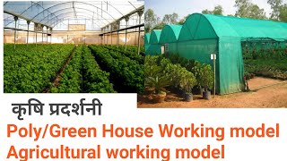 Green House or Poly House Farming Working Model | How to make Polyhouse or GreenHouse working model