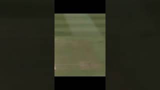 MS Dhoni helicopter shot Trend/ helicopter shot edit #shorts #status #trending #msdhoni #trending