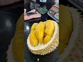 Musang King Durian: TheBEST Durian In World! #musangking