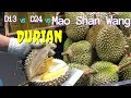 D13 VS D24 VS Mao Shan Wang Durian | Musang King 榴莲 | Sầu Riêng