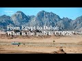 From COP27 to COP28: Africa and the Middle East could lead the net zero transition.