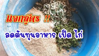 แจกสูตรการทำอาหารลดต้นทุนสำหรับเป็ดและไก่