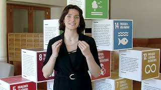 Unlocking Opportunities: Exploring CATALYST's Offerings for Companies