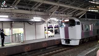 【10】【撮影日 3月12日】湘南ライナー3号 19時00分発 215系 東京駅入線