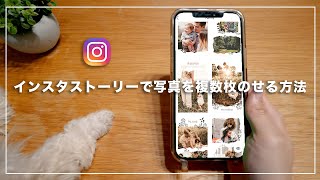 【Instagramストーリー裏技】複数画像を追加する方法・iPhone