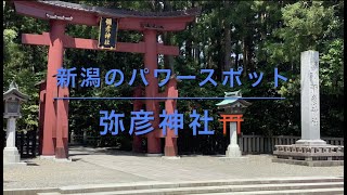 新潟のパワースポット　弥彦神社⛩