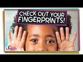 See Your Own Fingerprints!