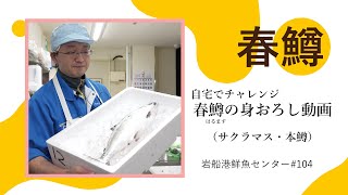 【春マス（サクラマス・本マス）の身おろし】岩船港鮮魚センター#104