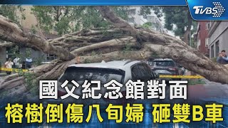 國父紀念館對面 榕樹倒傷八旬婦 砸雙B車｜TVBS新聞 @TVBSNEWS02