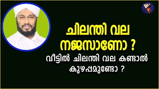 ചിലന്തി വല നജസാണോ ?വീട്ടിൽ ചിലന്തി വല കണ്ടാൽ കുഴപ്പമുണ്ടോ ?