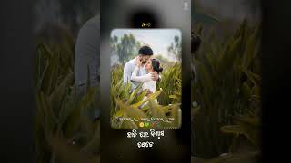 ଭଲ ପାଉଛି କେତେ | Bhala Pauchhi Kete | FullSong | Odia Movie | Priye Tu Mo Siye | Amlan| Elina#shorts