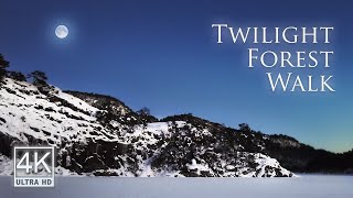 Walking Into the Winter Moonlight | 4k Forest Walking Tour | Binaural Snow, Water sounds