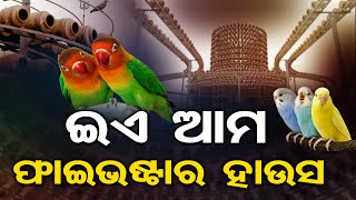 ପକ୍ଷୀଙ୍କ ଫାଇଭଷ୍ଟାର ହାଉସ || Farmer Spends Rs 20 Lakh To Build A Bungalow For Birds || Odisha Reporter