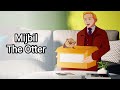 Mijbil the Otter - English Story Animation | Class 10 NCERT | EduTech Hub