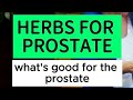 HERBS TO ENSURE HEALTHY PROSTATE: A List Of Herbs That Can Restore Or Sustain Normal Prostate Health