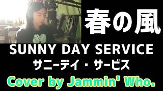 春の風 (Spring Breeze) - Sunny Day Service Cover by Jammin' Who.