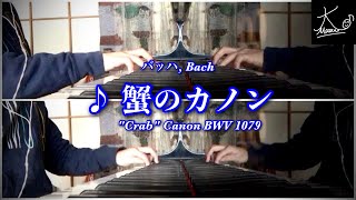 【多重録音】譜面の最後からでも弾ける曲（バッハ：蟹のカノン／Bach: \