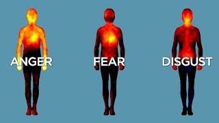 Science Bulletins: Mapping Emotions in the Body