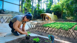 Digging Soil to Make a Vegetable Garden in the Wild - Hunting with Homemade Bow and Arrow