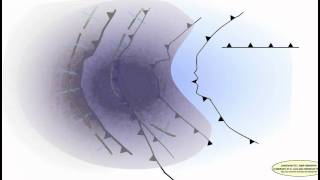 Orocline timing through joint analysis: Insights from the Ibero-Armorican Arc