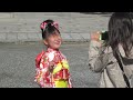 youtube kyoto heian shrine shichi go san 7 5 3 festival