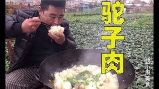 超小厨今天又吃多了，四川方言“坨子肉炖萝卜”地里现拔，直接下锅【超小厨】