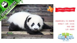 【Panda \u0026 Friends S3】— Ep8：(English Sub) Panda Olympics! 20170419 | iPanda