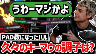 PAD絶好調のハル、久しぶりにキーマウでプレイしたらプレ帯でまさかの...⁉【クリップ集】【日本語字幕】【Apex】