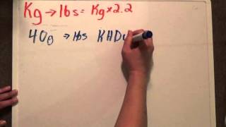 Converting Kilograms to Pounds