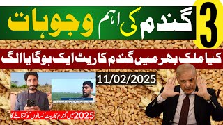 2025 گندم کی امدادی قیمت فائنل اعلان/2025 munji rate gandam ka rate 2025/Makki گندم تین اہم وجوہات