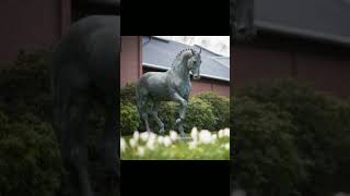 Famous horses and their statues/graves pt.4 🥺 #legends #besthorses #sad #statues