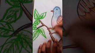 Oil Pastel Drawing🐦🐤😍 #oilpasteldrawing #art #drawing #trending #Shorts#Viral#Youtube