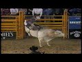 Grasshopper bucks Joaquin Garza - 96 PBR Reno