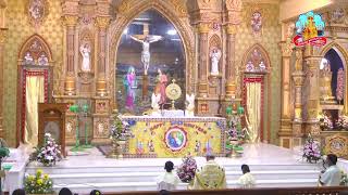 🔴 Live 01 January 2025 @ Vailankanni Shrine Basilica