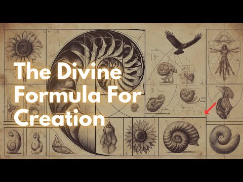 Why is everything a spiral?