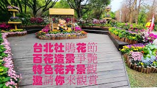 台北杜鵑花節，特色花卉景觀全記錄！2023台北杜鵑花節-大安森林公園 Taipei Rhododendron Festival-Hundreds of Flowers