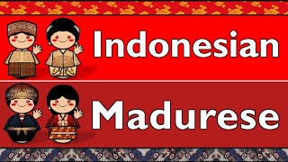 AUSTRONESIAN: INDONESIAN \u0026 MADURESE