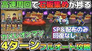 【ドラクエウォーク】カメレオンマン時短攻略で石板集めが捗る！SP＆配布4ターンフルオート攻略！