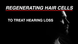 Regenerating Hair Cells to Treat Hearing Loss