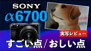 【α6700】SONYのプレミアムAPS-C新型カメラ。実写・実機レビュー。APS-Cミラーレス一眼カメラの実力を紹介。すごい点とおしい点も解説します。