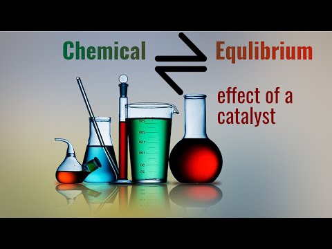 What happens when a catalyst is added to a system at equilibrium?