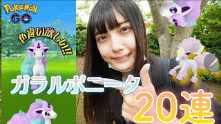 【ポケモンGO】ガラルポニータの色違いが欲しいのです！！！ギャロップに進化させたいんです！！